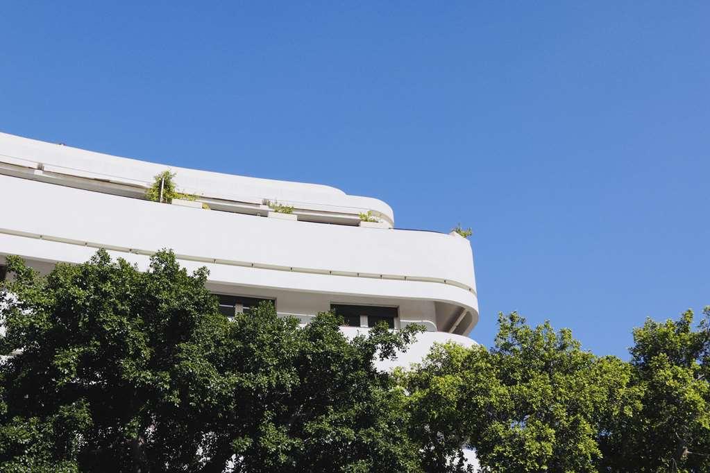 The David Kempinski Tel Aviv Bekvämligheter bild